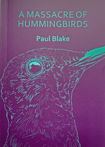 A Massacre of Hummingbirds book cover