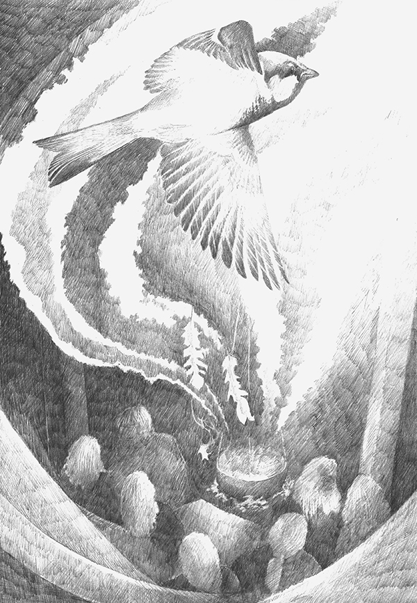 Bede's Sparrow illustration by Douglas Robertson