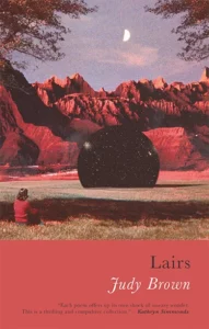 Lairs book cover